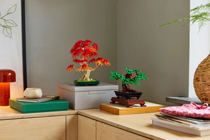 10348 - bonsai di acero rosso giapponese: 26