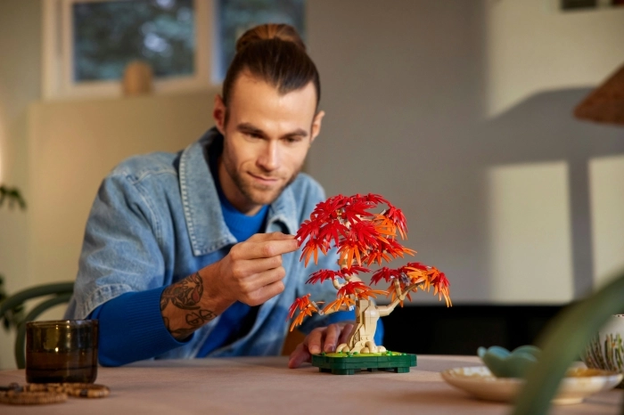 10348 - bonsai di acero rosso giapponese: 29