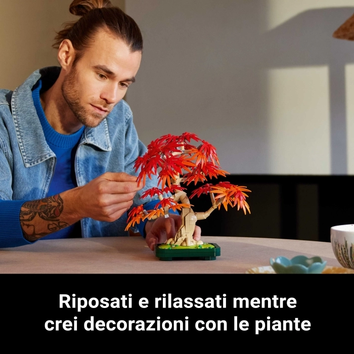 10348 - bonsai di acero rosso giapponese: 34