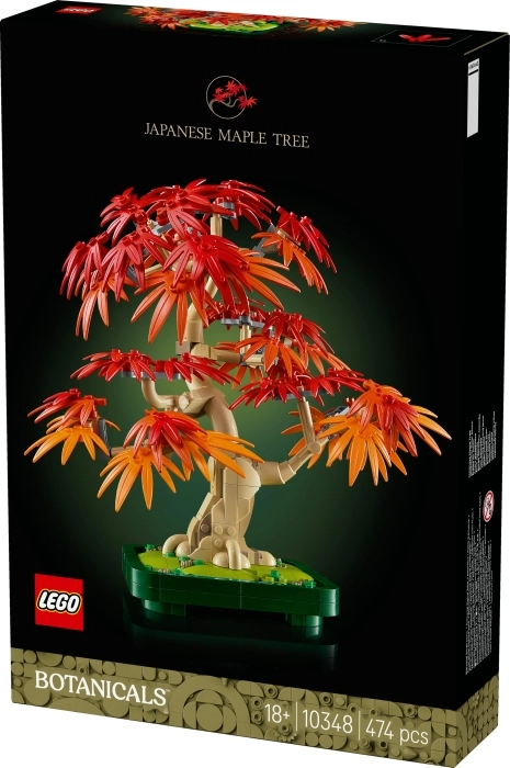 10348 - bonsai di acero rosso giapponese: 6