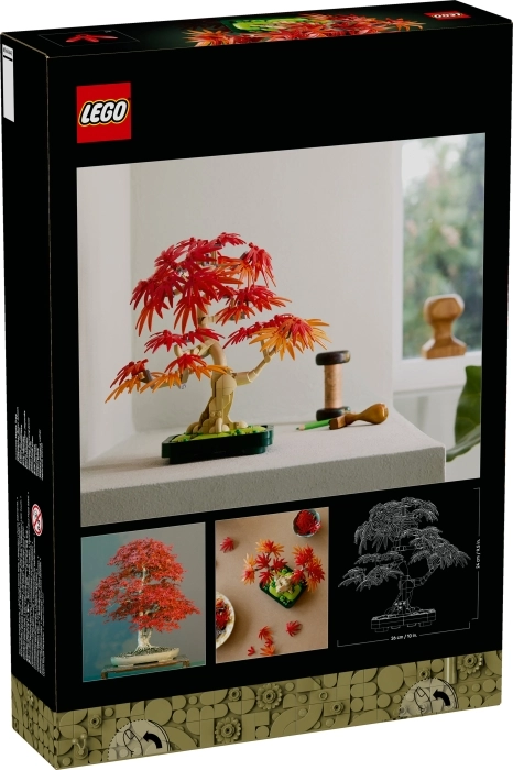 10348 - bonsai di acero rosso giapponese: 8