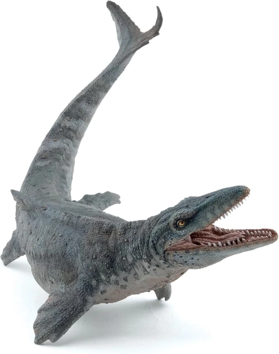 mosasaurus 25cm: 1