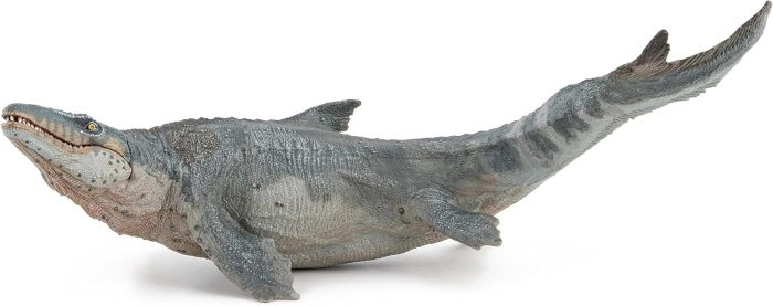 mosasaurus 25cm: 3