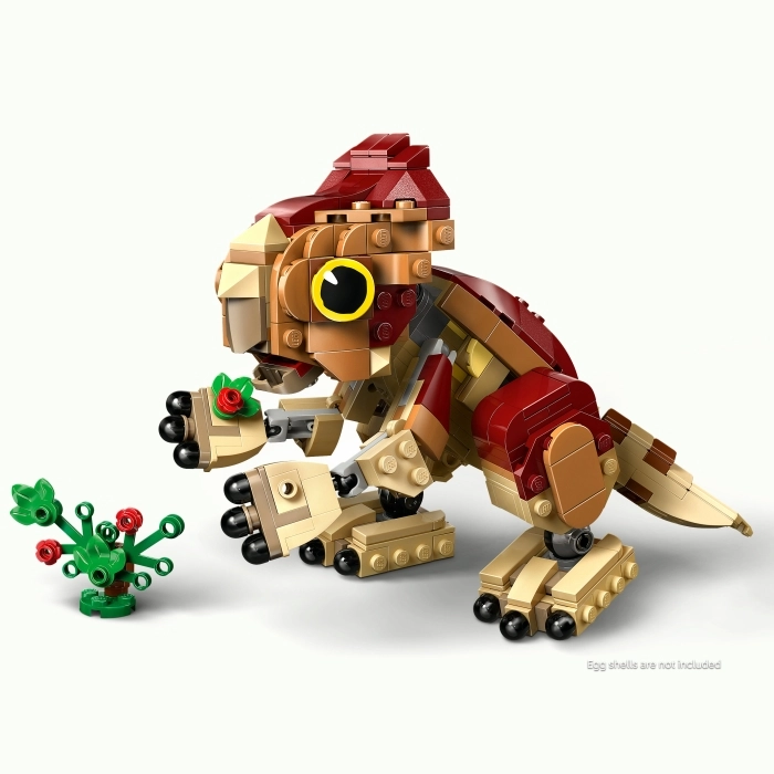 76970 - dinosauro cucciolo dolores: aquilops: 14