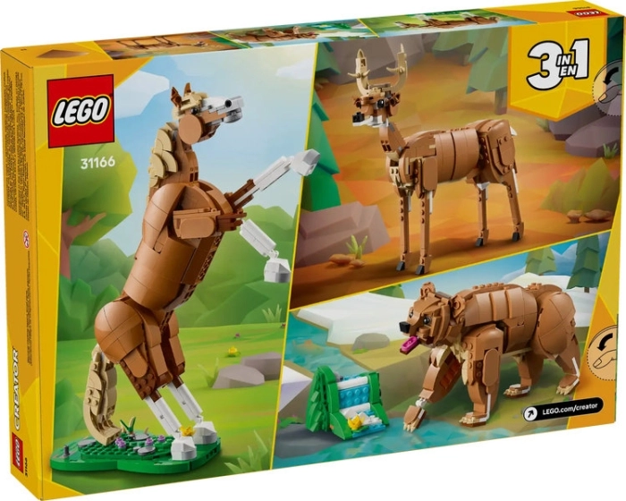 31166 - cavallo meraviglioso: 10
