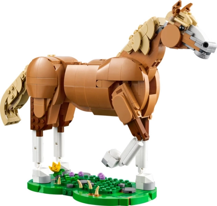 31166 - cavallo meraviglioso: 2