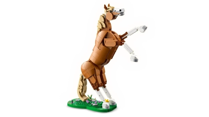 31166 - cavallo meraviglioso: 3