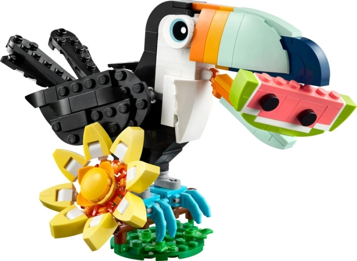 31173 - animali selvatici: tucano tropicale: 2