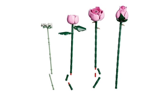 10374 - bouquet di rose rosa