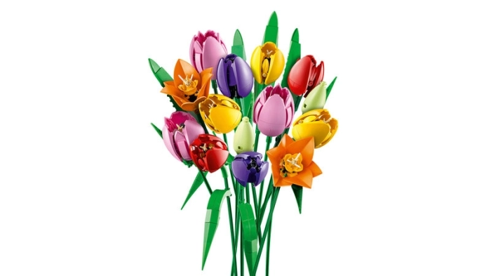 11501 - bouquet di tulipani