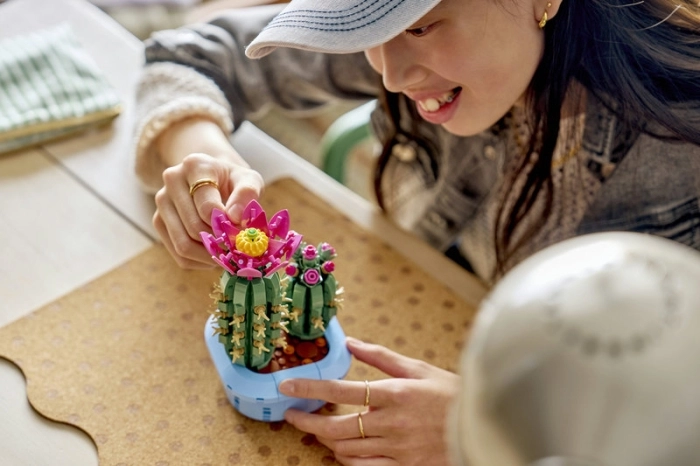 11509 - cactus in fiore