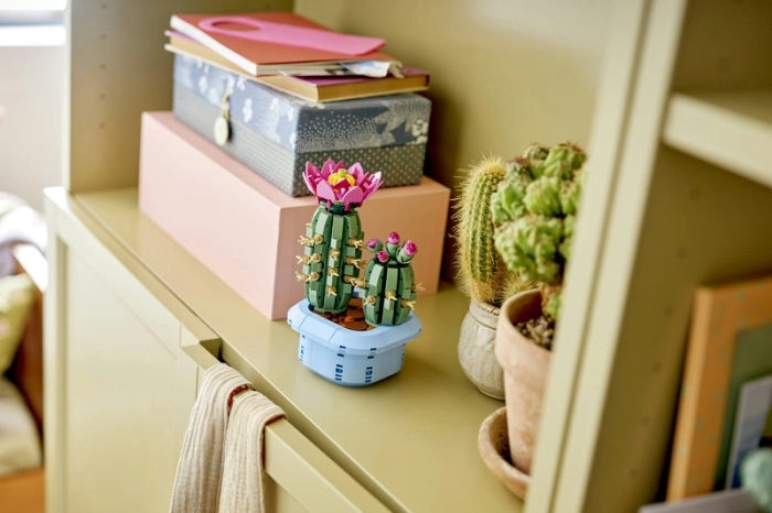 11509 - cactus in fiore