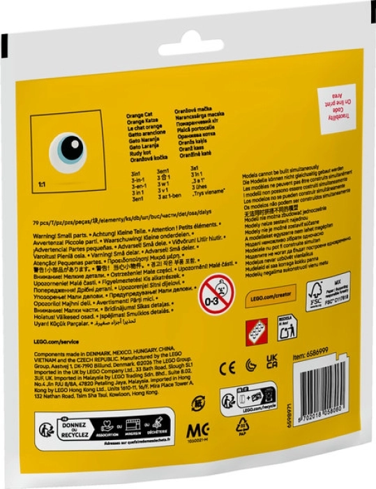 30714 - gatto arancione