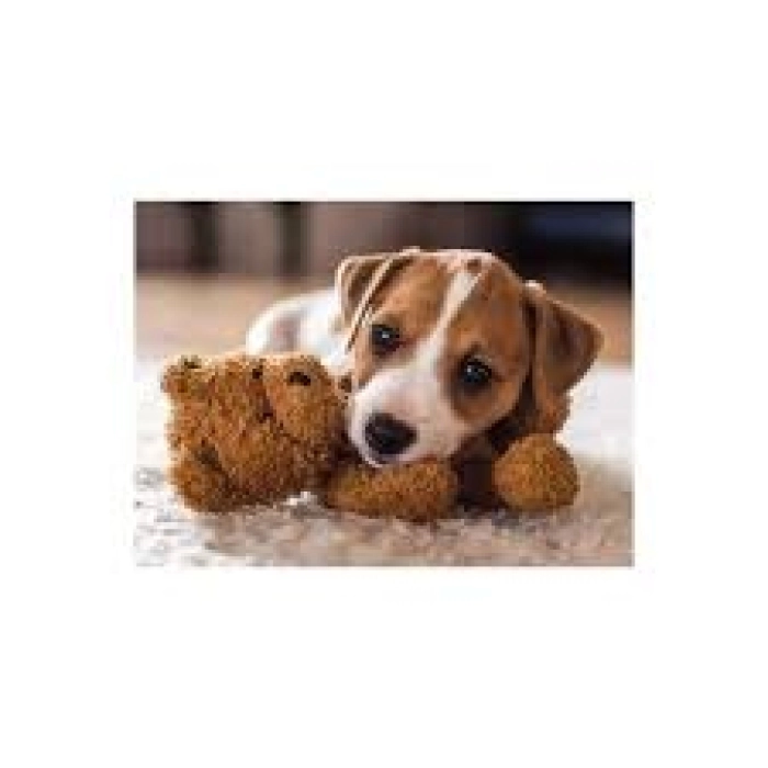 cucciolo di cane - puzzle 500 pezzi