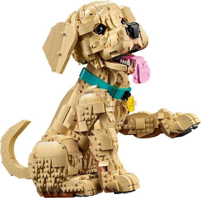 11384 - cucciolo di golden retriever