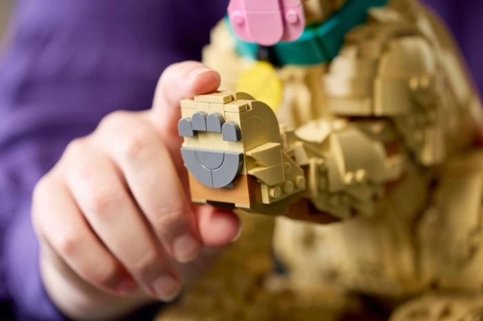 11384 - cucciolo di golden retriever