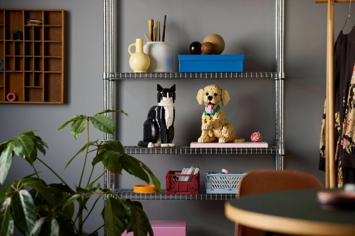 11384 - cucciolo di golden retriever