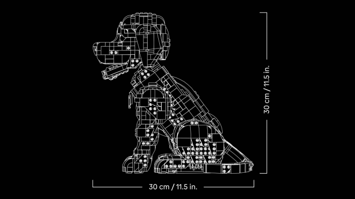 11384 - cucciolo di golden retriever