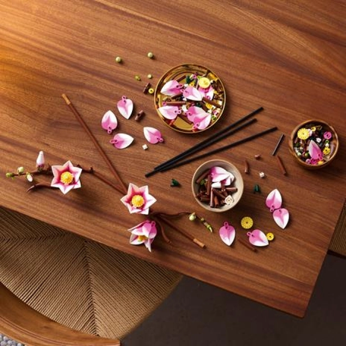 11510 - rametti di magnolia