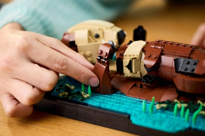 21366 - lontre marine