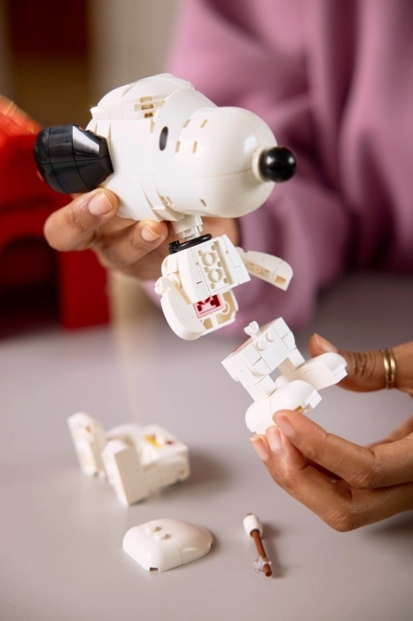 21368 - peanuts: la cuccia di snoopy