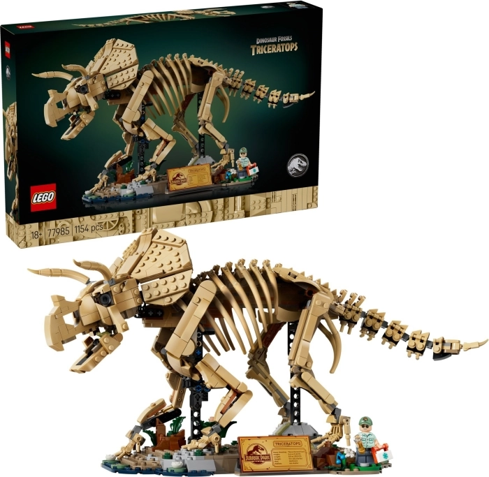 77985 - fossili di dinosauro: triceratopo