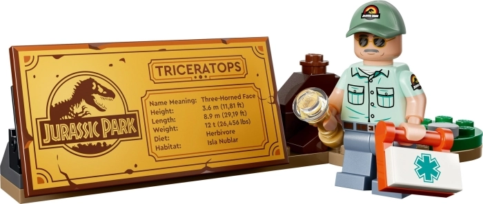 77985 - fossili di dinosauro: triceratopo