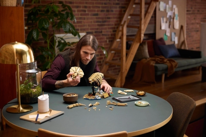 77985 - fossili di dinosauro: triceratopo