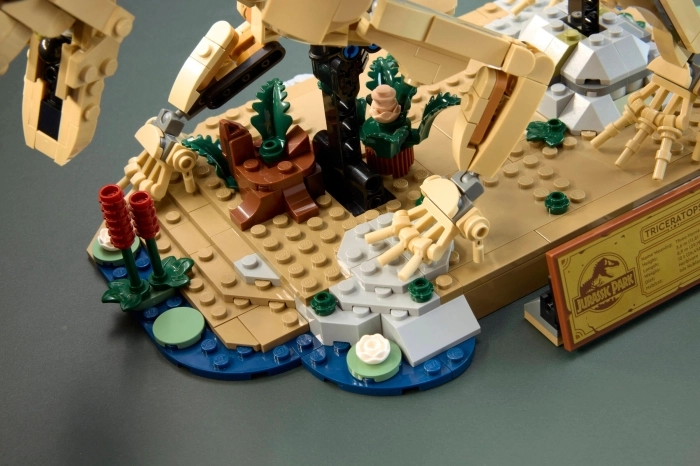 77985 - fossili di dinosauro: triceratopo