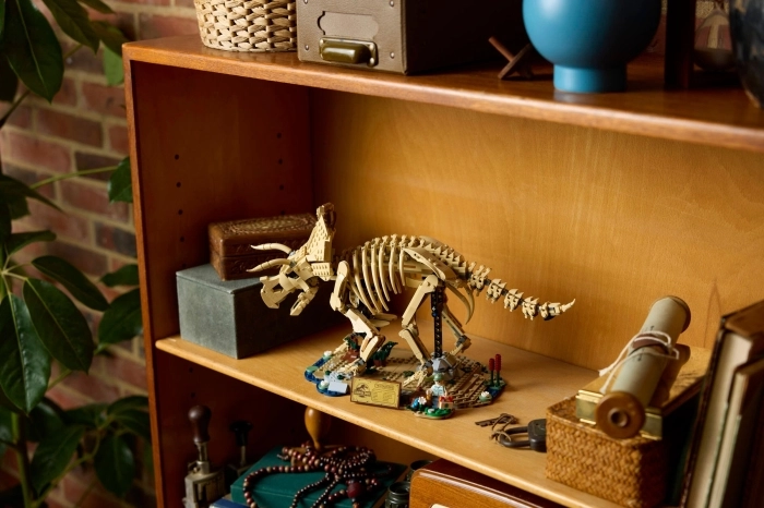 77985 - fossili di dinosauro: triceratopo