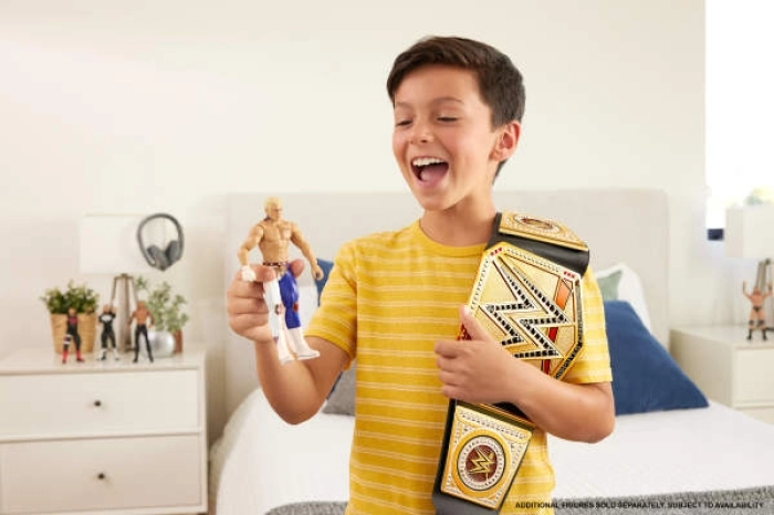 wwe championship title - un modello assortito