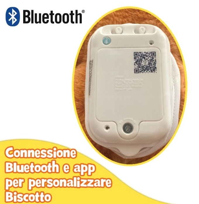 biscotto, coccole e chiacchiere