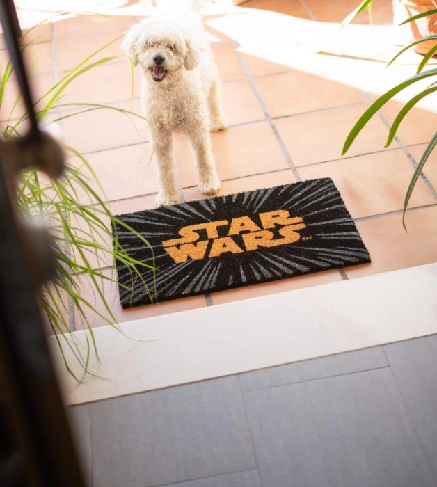 zerbino - star wars - logo