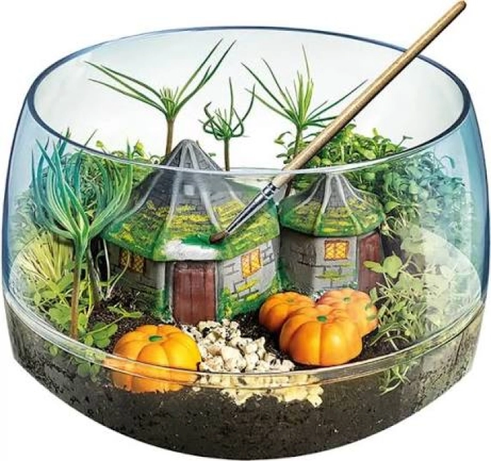 scienza e gioco lab - harry potter - terrarium