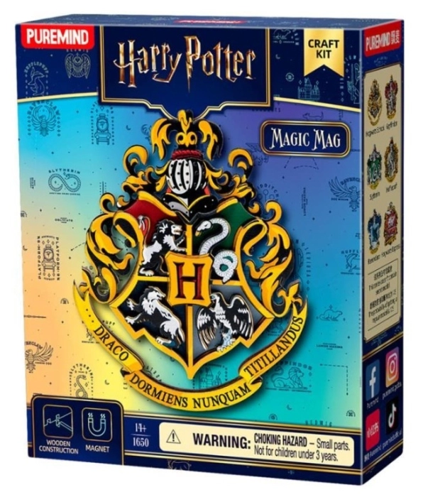 harry potter - magnete da costruire in legno - una casata a sorpresa