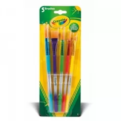 5 pennelli assortiti