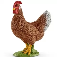 gallina