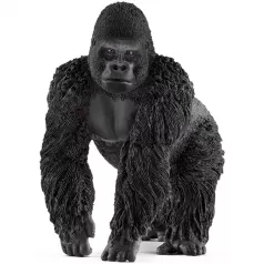 gorilla maschio
