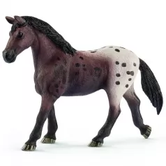 giumenta appaloosa