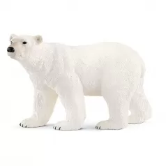 orso polare