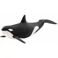 orca