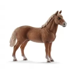 stallone morgan horse
