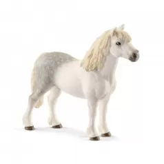 stallone welsh pony