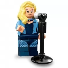71020-19 - black canary