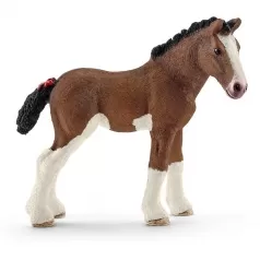 puledro clydesdale