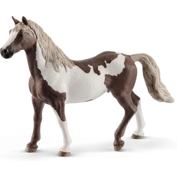 castrone paint horse