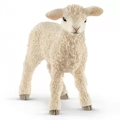 agnello - 2019