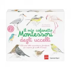 il mio cofanetto montessori degli uccelli