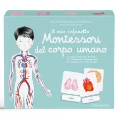 il mio cofanetto montessori del corpo umano