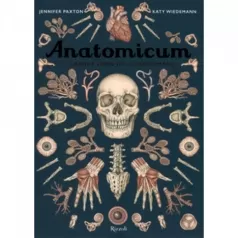 anatomicum